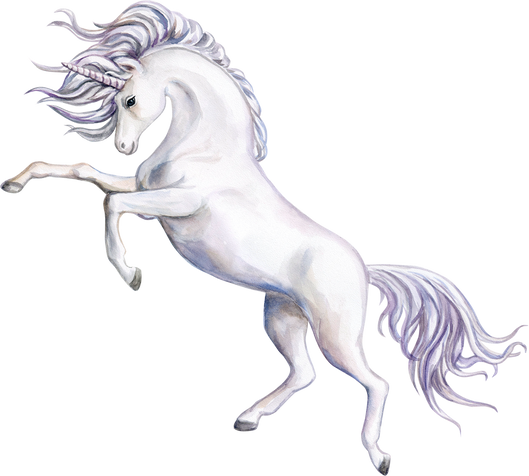 White Unicorn Illustration